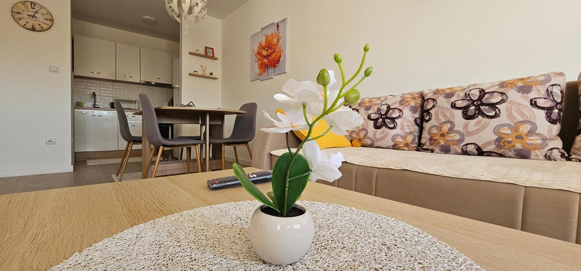Apartman Vukota 2 Pirot Dış mekan fotoğraf