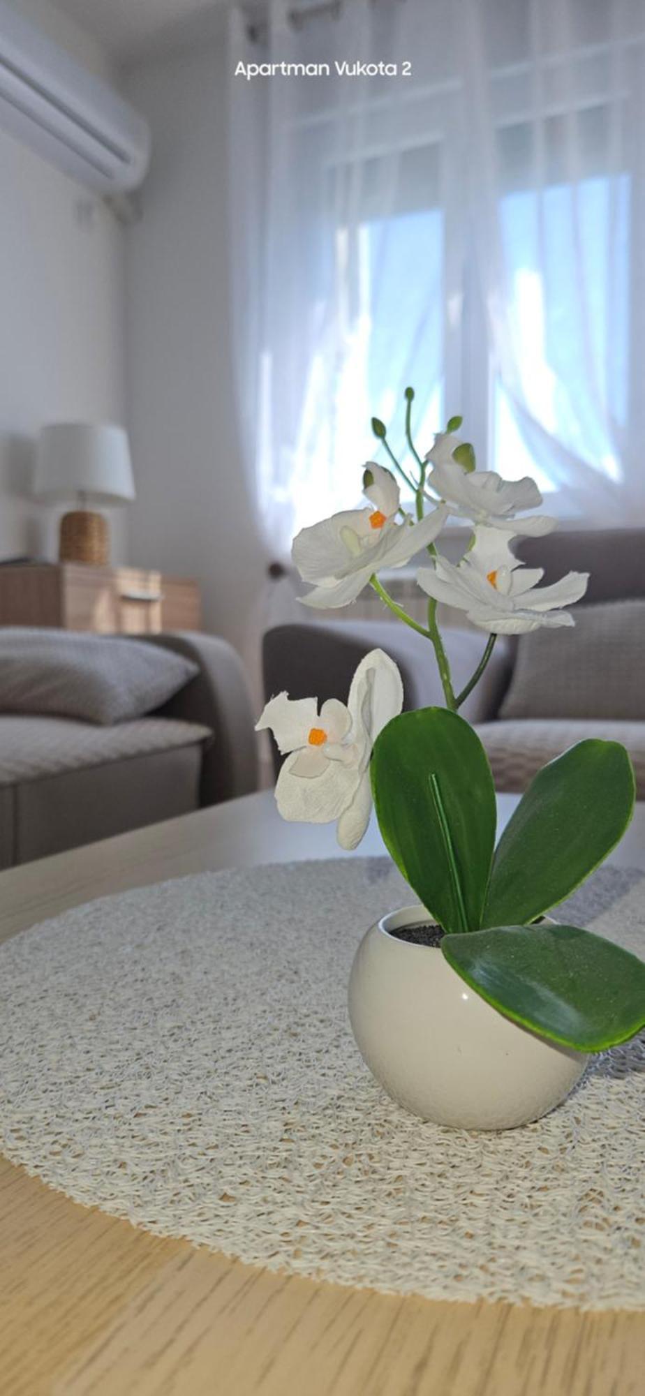 Apartman Vukota 2 Pirot Dış mekan fotoğraf
